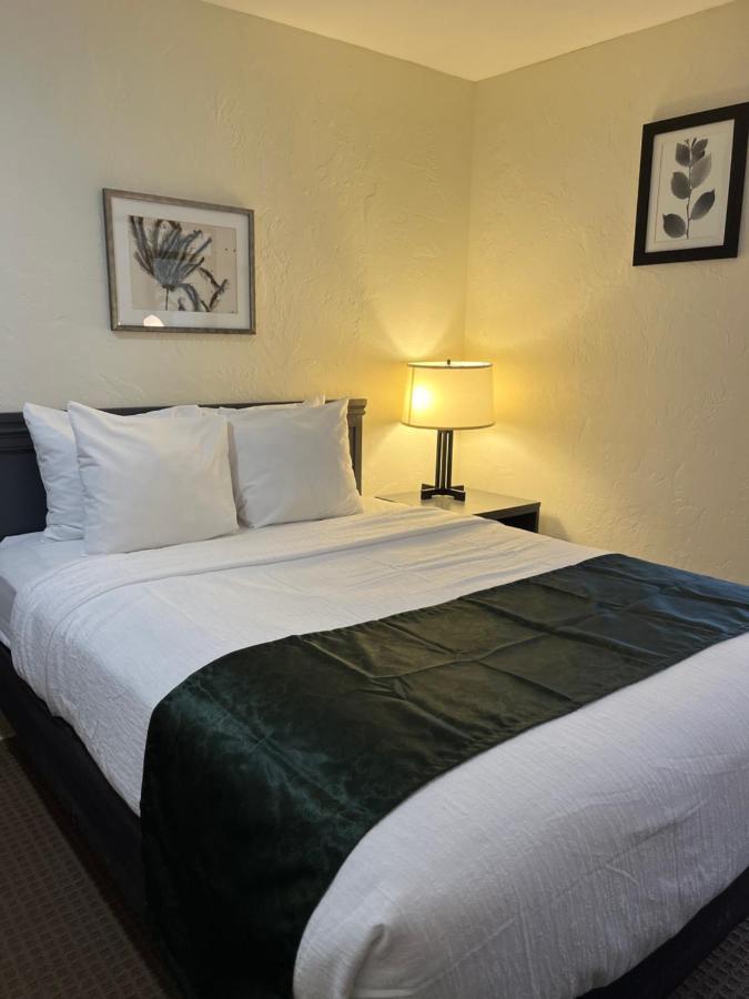 Pictured Rocks Inn And Suites Munising Exteriör bild