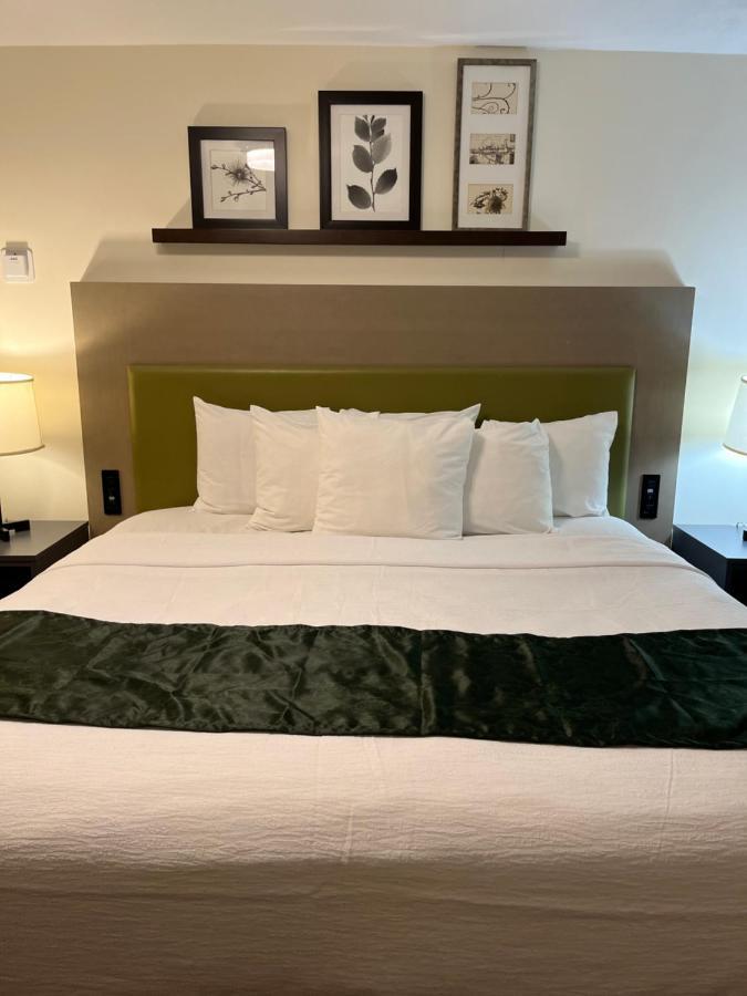 Pictured Rocks Inn And Suites Munising Exteriör bild